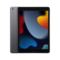 APPLE iPad (9th Gen.), 10.2", WiFi, 256GB, MK2N3HC/A, sivi